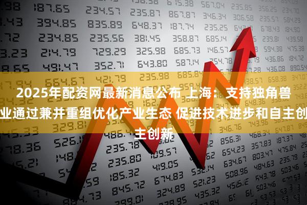 2025年配资网最新消息公布 上海：支持独角兽企业通过兼并重组优化产业生态 促进技术进步和自主创新